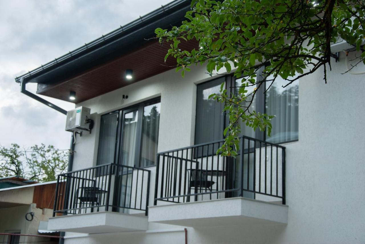 Likani Home Borjomi Ngoại thất bức ảnh